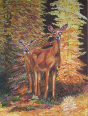 Doe and Fawn